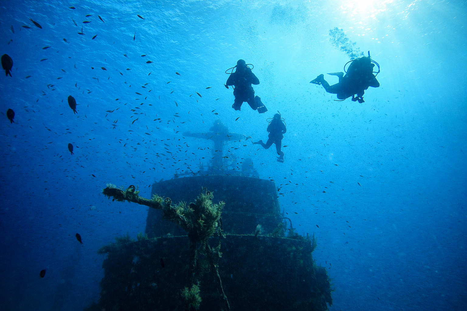 Divers hovering above the P29 shipwreck