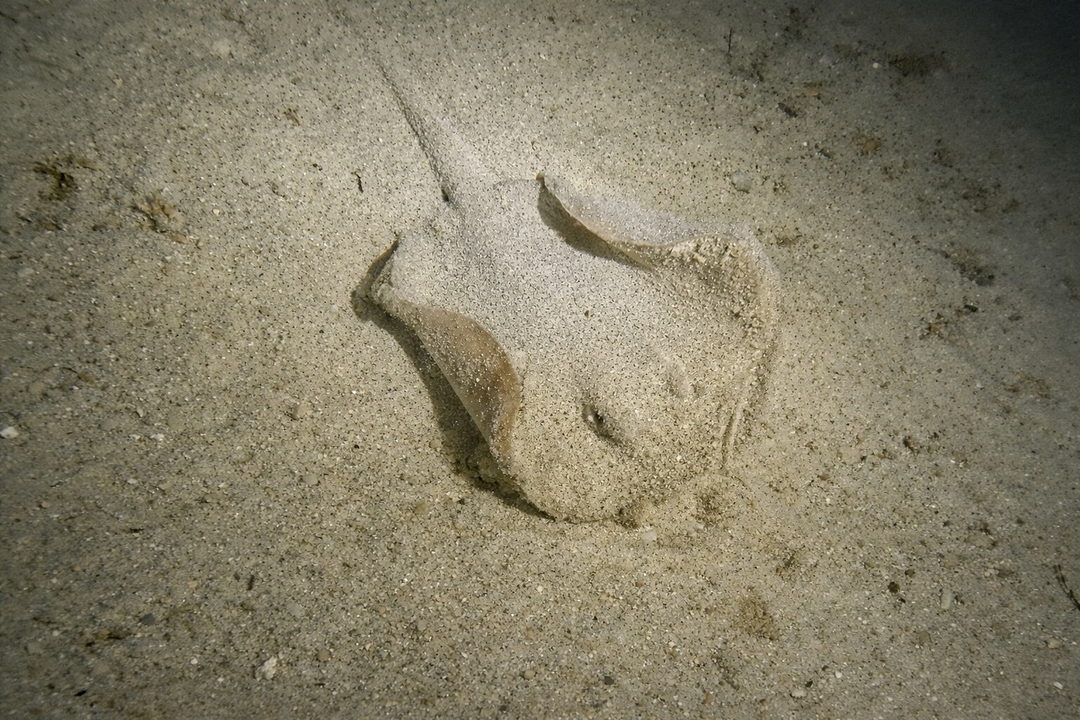 Below