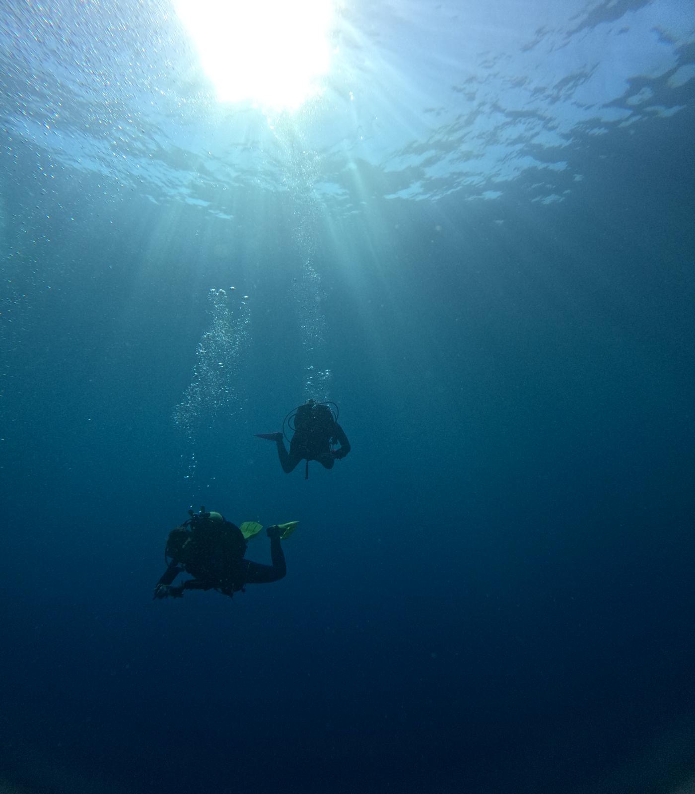 Divers silhouetted against the sun above a Maltese wreck